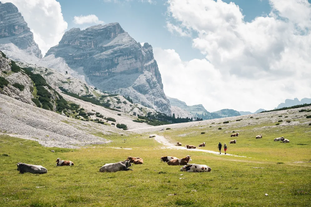 𝗟𝗔 𝗠𝗨𝗡𝗧 𝗗𝗘 𝗙𝗔𝗡𝗘𝗦 👑

L’Alpe di Fanes, nel cuore del Parco Naturale Fanes-Senes-Braies, è un luogo dove 𝗻𝗮𝘁𝘂𝗿𝗮, 𝘀𝘁𝗼𝗿𝗶𝗮 𝗲 𝗹𝗲𝗴𝗴𝗲𝗻𝗱𝗮 𝘀𝗶 𝗶𝗻𝗰𝗼