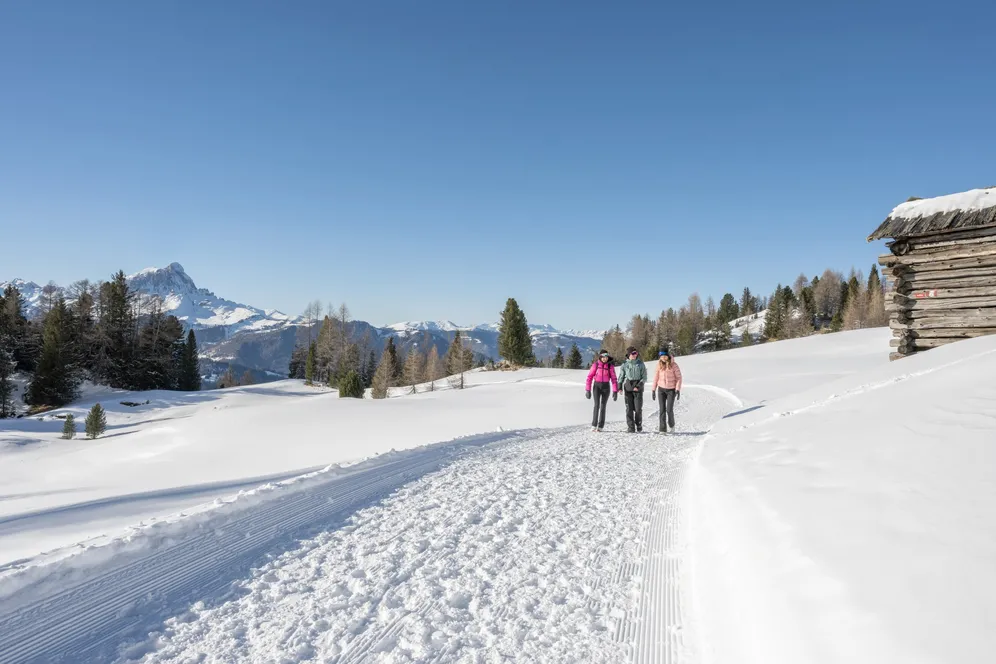 𝗔𝗥𝗠𝗘𝗡𝗧𝗔𝗥𝗔 ☀️

Durante queste splendide giornate di sole, da 𝗟𝗮 𝗖𝗿𝘂𝘀𝗰 si parte a piedi verso i 𝗣𝗿𝗮𝘁𝗶 𝗱𝗲𝗹𝗹’𝗔𝗿𝗺𝗲𝗻𝘁𝗮𝗿𝗮: neve che brilla, si