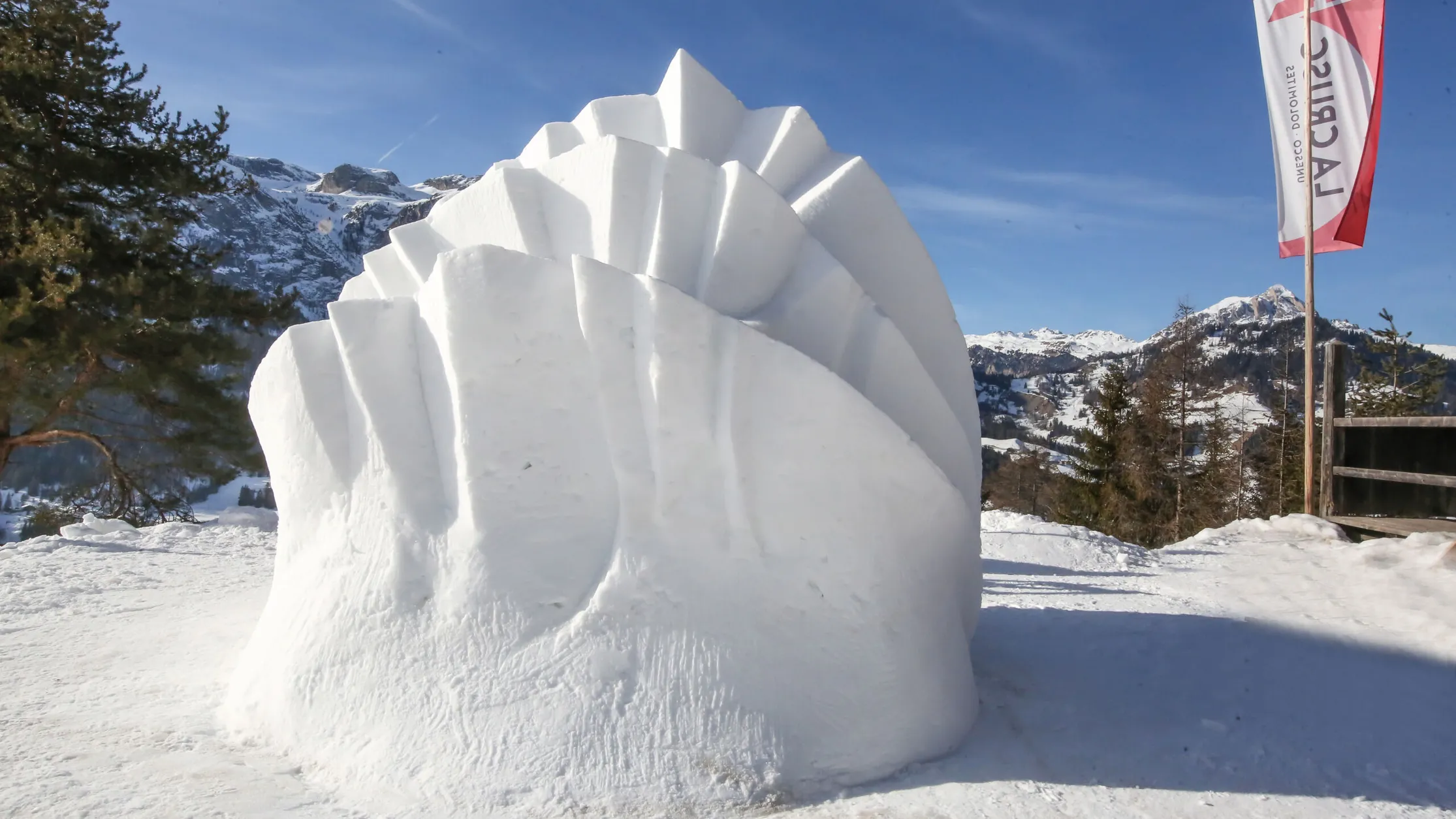 A8as freddy planinschek