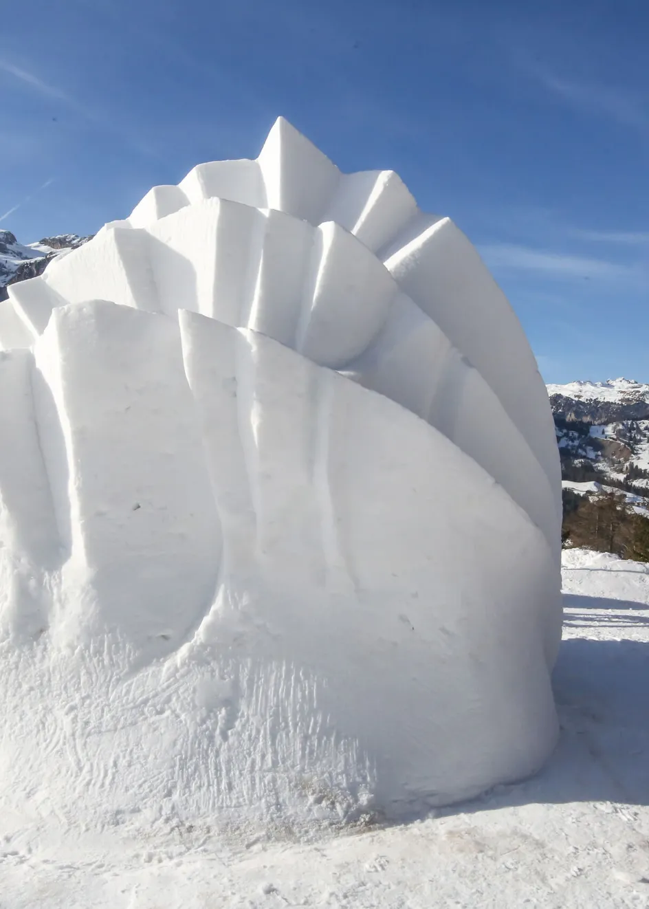 A8as freddy planinschek