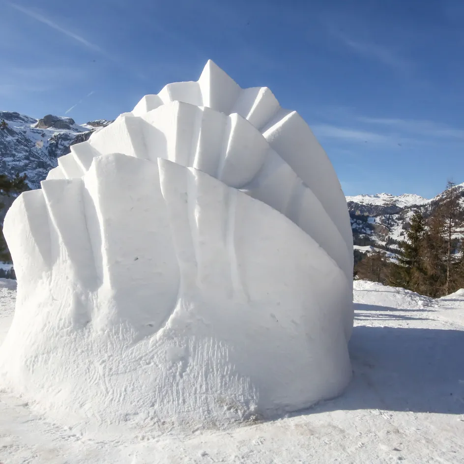 A8as freddy planinschek