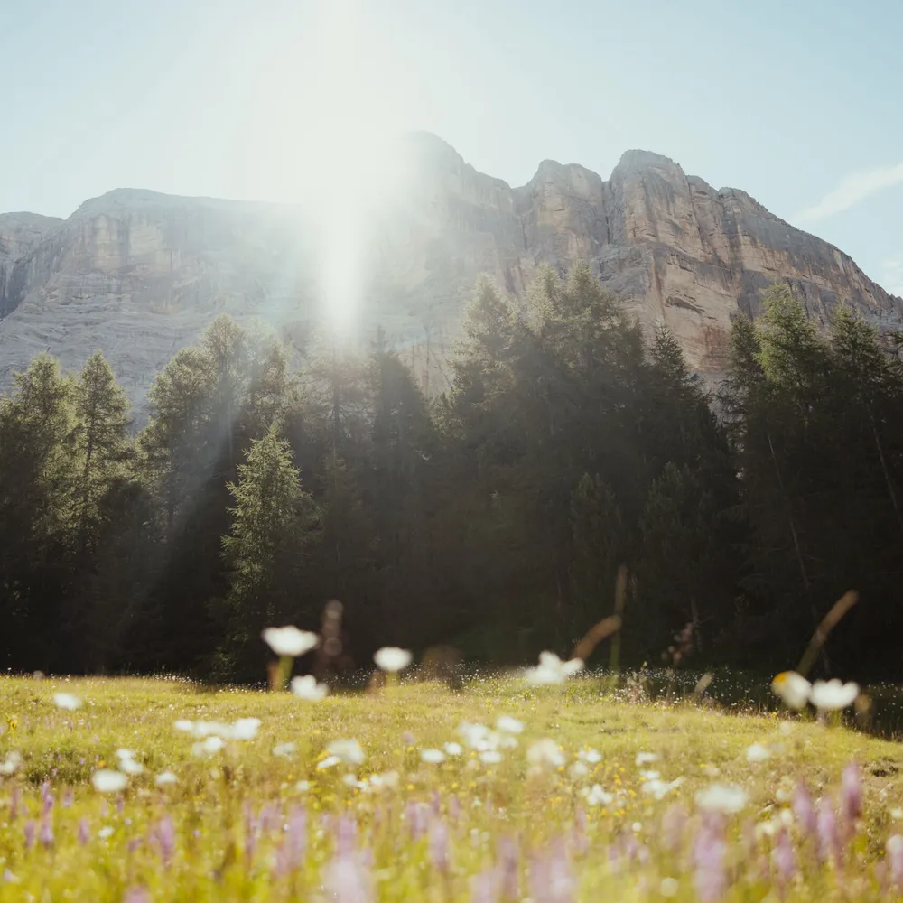 Alex Moling ABB La Crusc2023 21