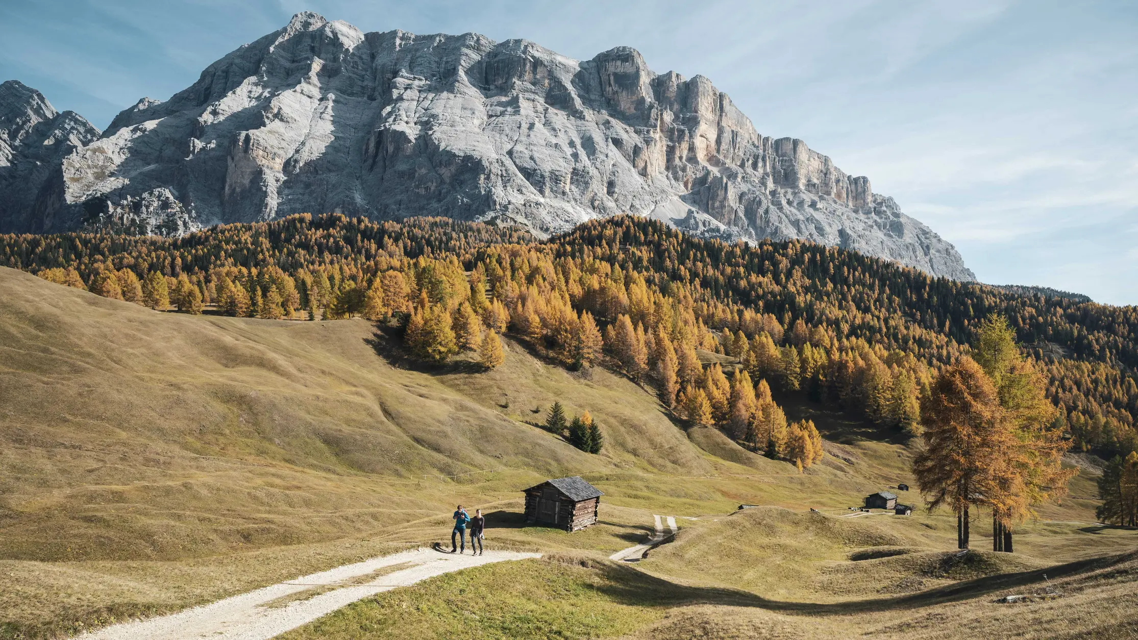 Prati dell'Armentara d'autunno