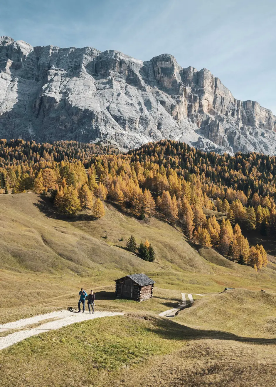 Prati dell'Armentara d'autunno