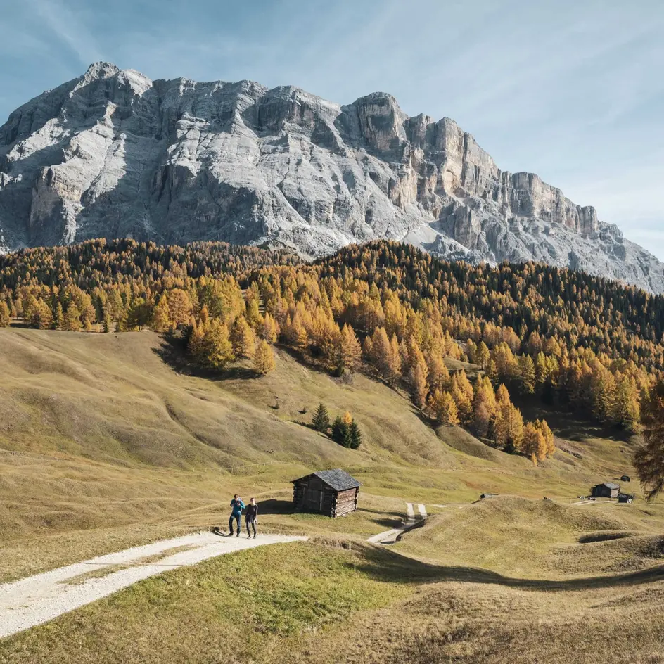 Prati dell'Armentara d'autunno