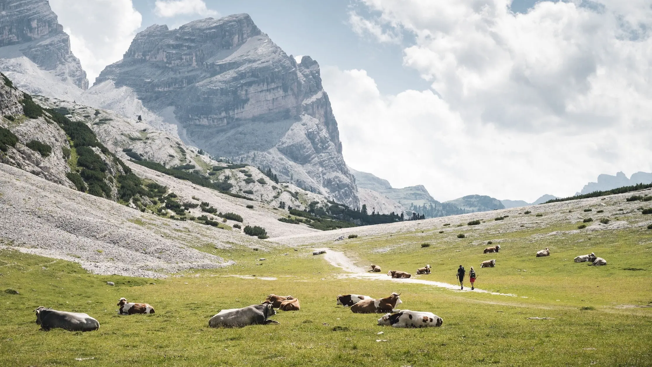 Alpe di Gran fanes e cima Scottoni nelle Dolomiti