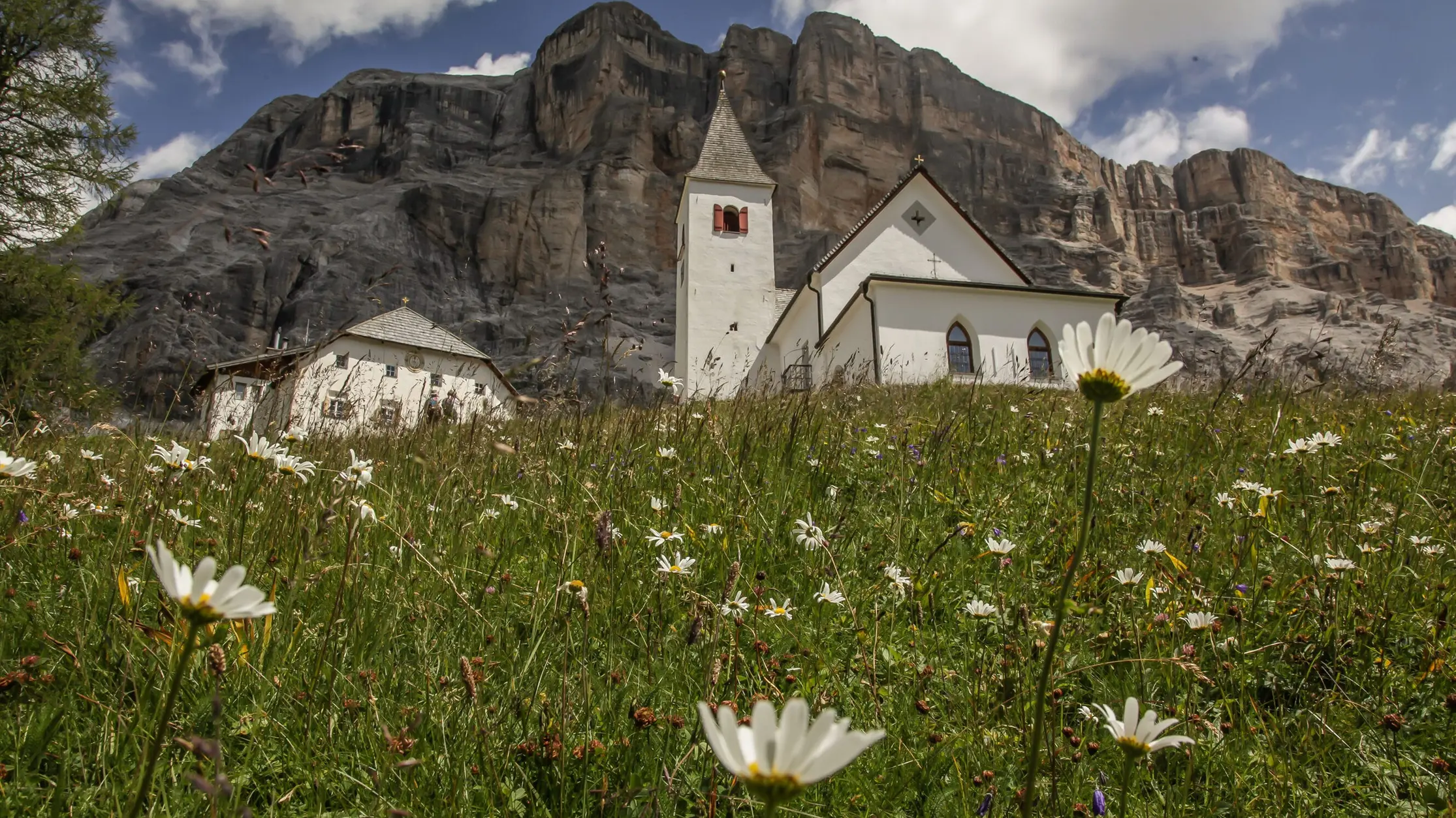 Margherite davanti alla chiesa di La Crusc