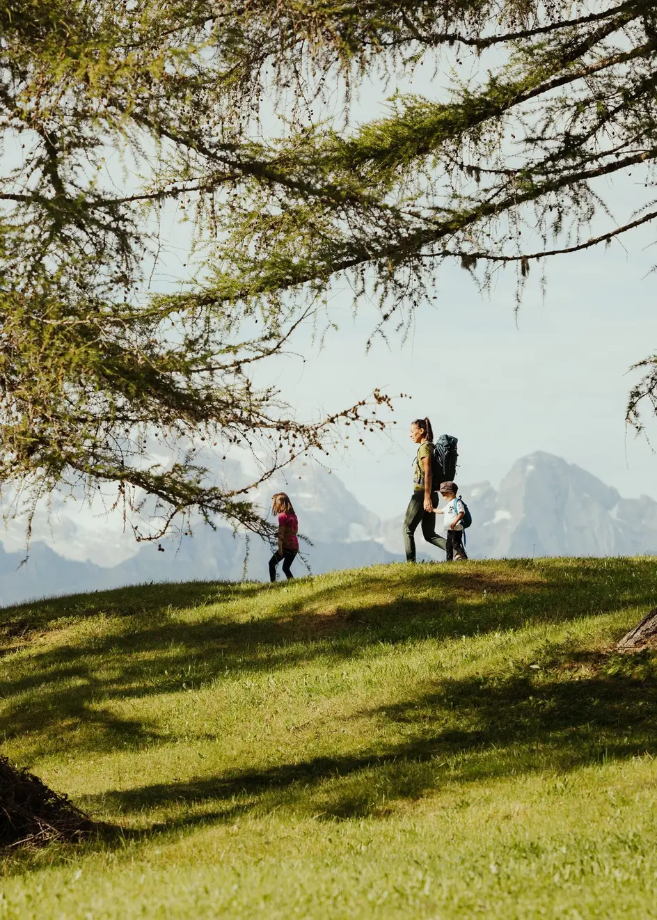 Passeggiata La Crusc Armentara