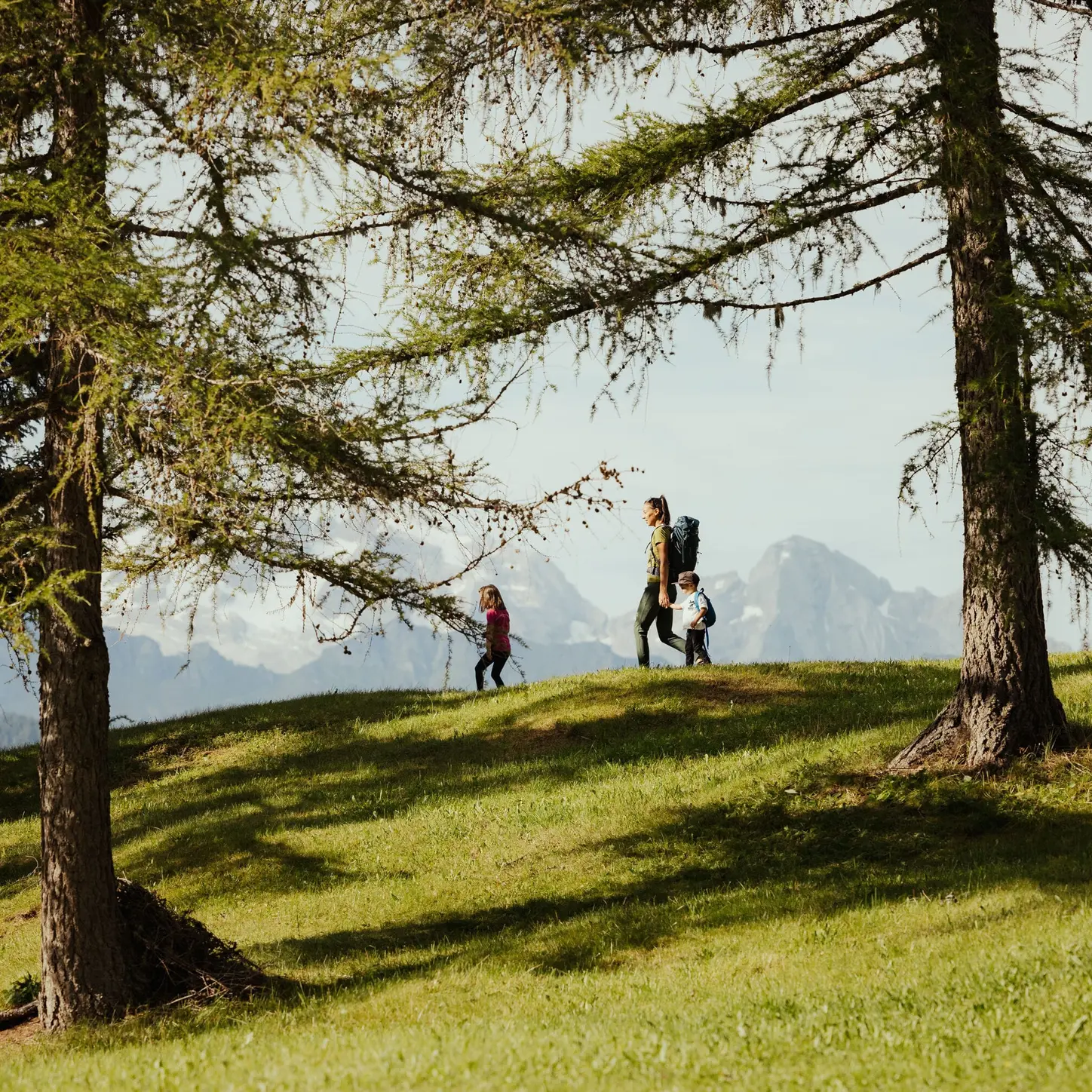 Passeggiata La Crusc Armentara