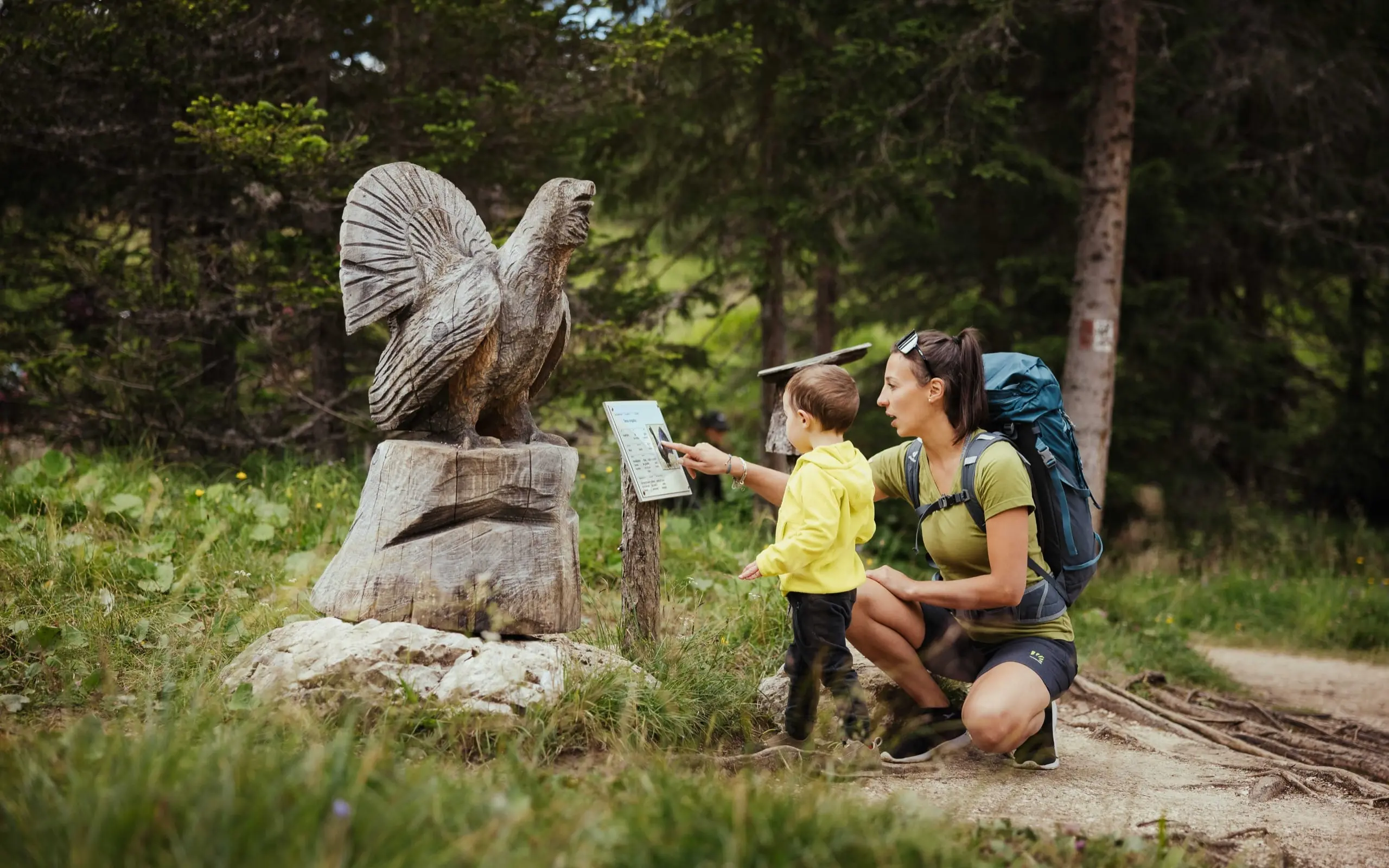 Sentiero tematico animali selvatici - SummerPark La Crusc