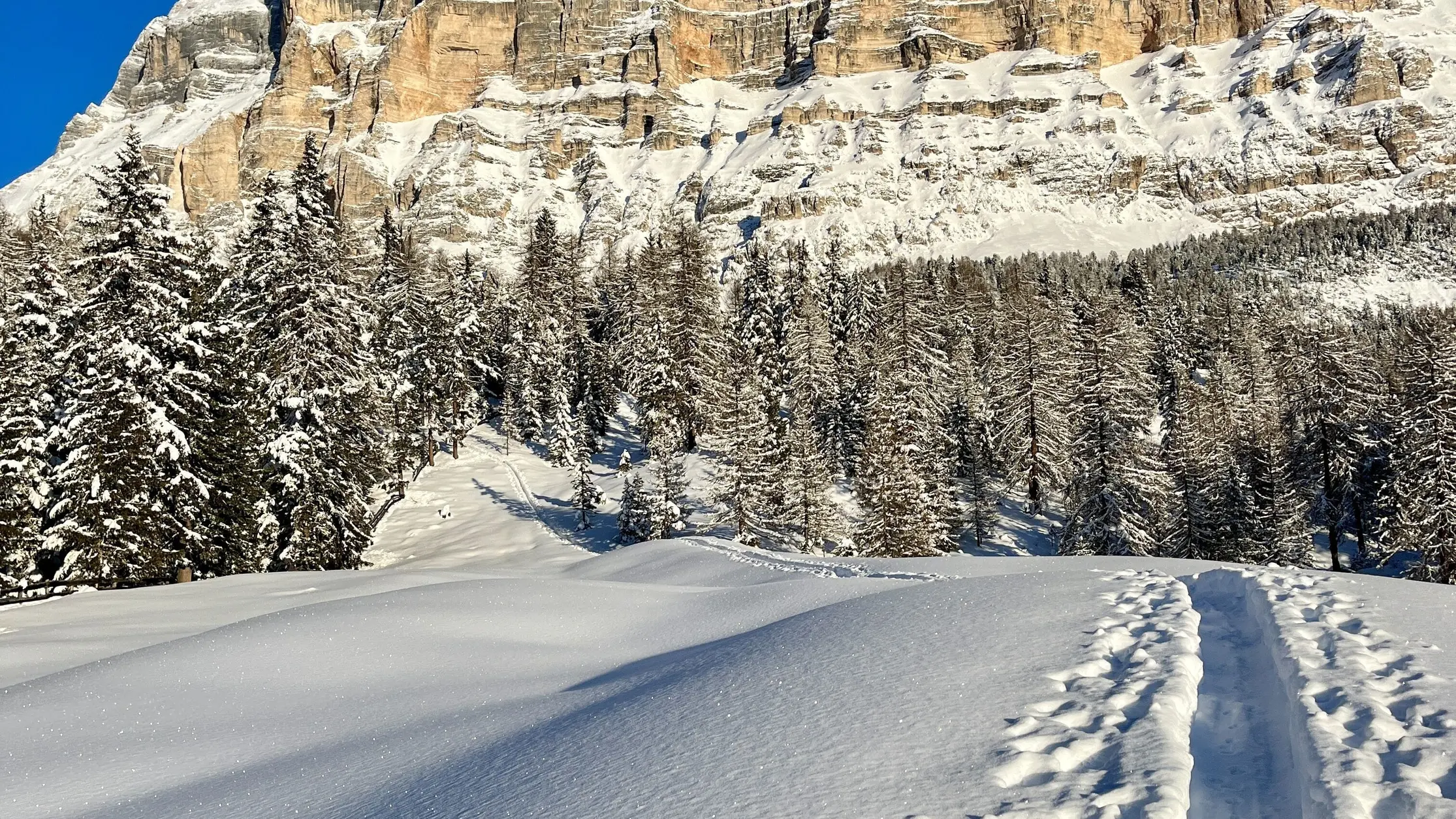 Traccia sci alpinismo la crusc